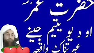 حضرت مولانا عامر عبدالمتین جمالی صاحب
