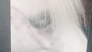 Seeing a little Horse