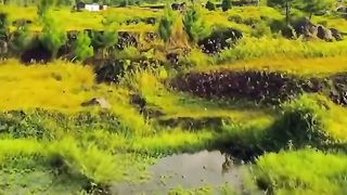 natural beauty 7