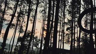 Sinematografi Jungle