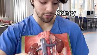 Kidney Stones