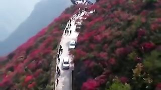 VID-20230710-WA0001.