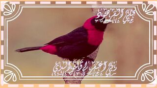 ذكر رحمة ربك عبده زكريا اجمل تلاوة