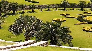 Beautiful garden .....https://payup.video/u/205463