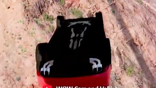 Cars vs Suspension bridge ???????????? #shorts BeamNG.Drive