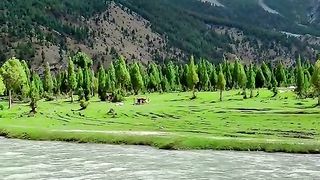 Eye catching view