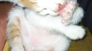 Bocil lucu 4