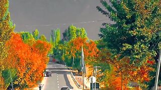 Beautiful view 32