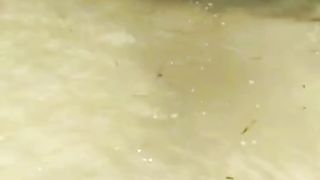 Cari anak penyu buat umpan ikan Hiu