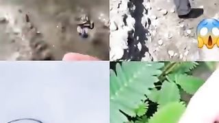 entertainment compilation 253