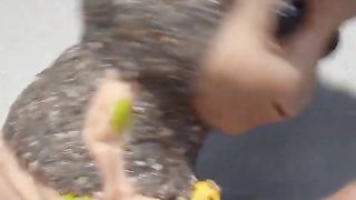Growing Chia Seeds with Groot - Time Lapse