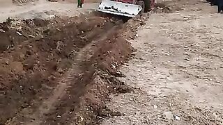 Hardworking derver Belarus traicktor