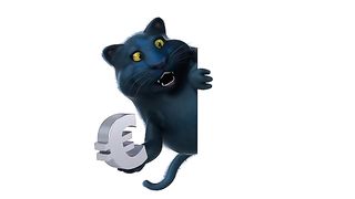 Chat et euros