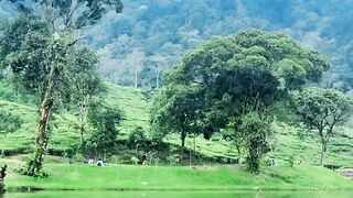 Alam Indonesia 3