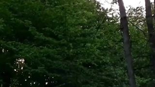 Beautiful nature 46