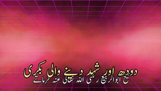 Dudha aur shehad dene wali bakry | دودھ اور شہد دینے والی بکری
