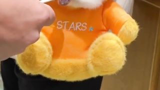 cute puppy 3