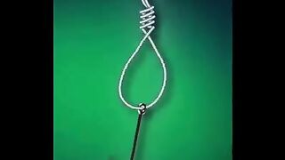 Good Tricks for fish