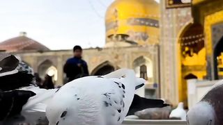Ya Hussain 2