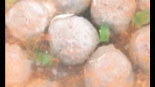 BAKSO ACI KUAH