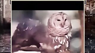 پہلے یار نوں منانا