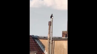 funny memes 16