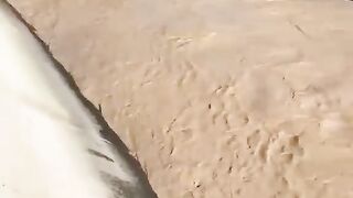 إنقاذ بقرة