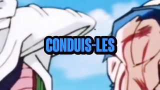 VEGETA SE SACRIFIE