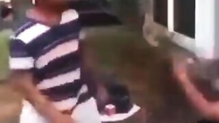 Quickest knockout on earth????????????????????