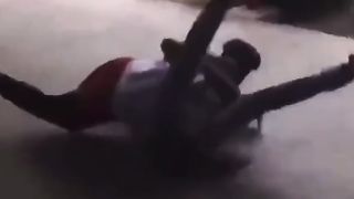 Highschool WWE goes wrong ????????????