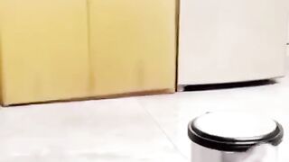 THE CAT VERRY FANNY VIDEO