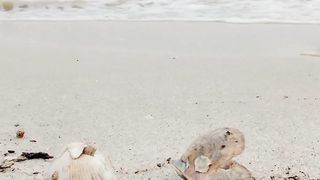 Mathematic beach