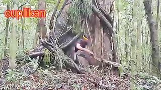 SOLO SURVIVAL ||THE INSTINCT OF SURVIVAL IN THE FOREST ALONE