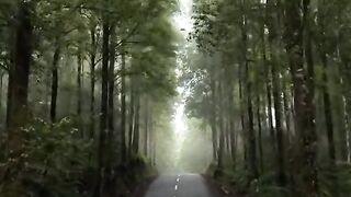 pemandangan alam