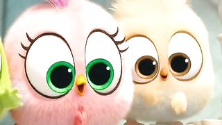 Angry Birds Cartoon