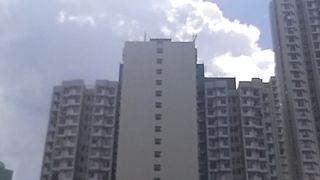 Beautiful  sun