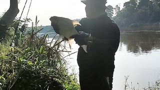 Fishing fish on/tingalan sg pahang
