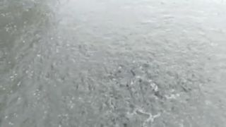 Jenis kolam apa yang terbaik untuk budidaya ikan lele segmen pembesaran❓