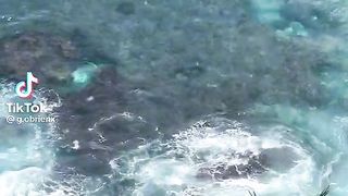 beautiful beach 4