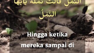 Bacaan Quran merdu | surat an-naml ayat 18-19