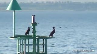ОСТРОВ СВ. АНАСТАСИЯ