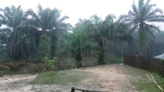 afternoon rainy weather