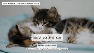 Surah Al Fatihah - Muhammad Taha Aljunaid