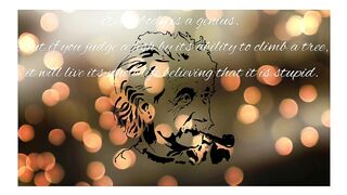 Quotes albert eintein