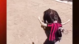 Bull ????????