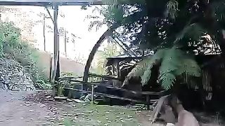 Moinho colonial com mais de 100 anos funcionando