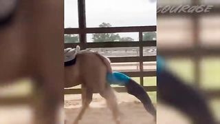 Funny people videos 3