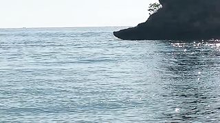 Pantai pink 2