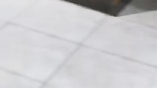 Cute cat (pussy) and dog