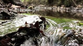 Natur 5